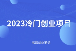 2023超冷门创业项目，看看有那个你喜欢的