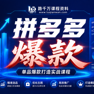 大麦老师拼多多单品爆款打造课：从0到1打爆单品，流量销量双翻倍