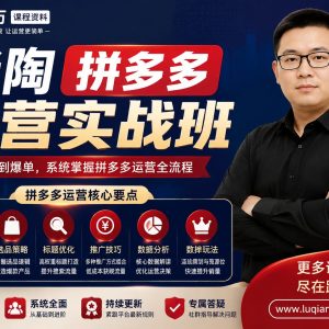 老陶拼多多运营实战班：从零开始掌握拼多多运营核心技巧