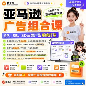 亚马逊SP SB SD广告组合打法：掌握广告组合拳，引爆亚马逊销量！