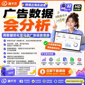 亚马逊广告数据分析与优化：新手也能上手的PPC实操课