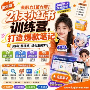 苏阿九第六期21天小红书训练营打造爆款笔记课程资料：适合新手梳理思路的实操学习包