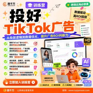 TikTok广告投放训练营：跨境卖家系统提升ROI判断能力