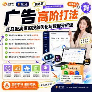 亚马逊广告优化高阶训练营：投放策略与数据分析方法