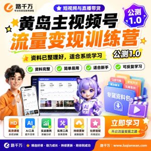 视频号流量变现训练营：从内容搭建到运营执行