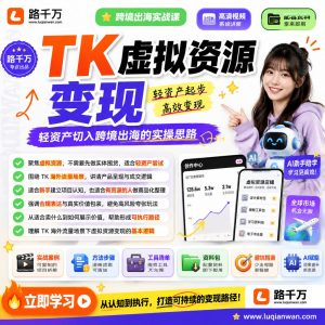 TK虚拟资源变现课程资料:适合新手梳理思路的实操学习包