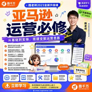 亚马逊运营课程：从选品上架到流量转化与数据复盘